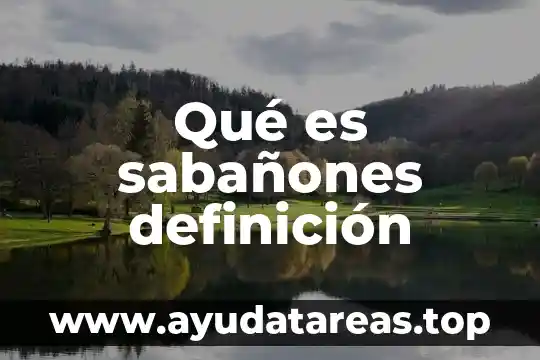 Que es un logotipo definicion 4 Qué es sabañones definición
