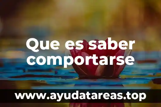 Quiero saber lo que es el sol 3 Que es saber comportarse