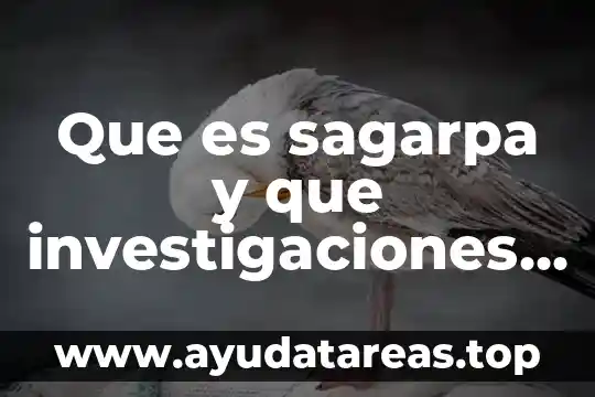 Valoración de retroceso que es y como se hace 5 Que es sagarpa y que investigaciones hace