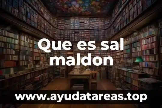 Conclusión de que es sal y sus propiedades 6 Que es sal maldon