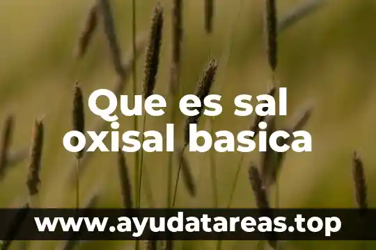 Conclusión de que es sal y sus propiedades 3 Que es sal oxisal basica