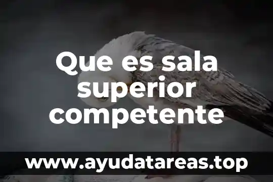Planea examen media superior que es 3 Que es sala superior competente