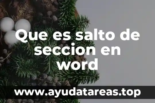 Que es un salto de linea en la programacion 6 Que es salto de seccion en word