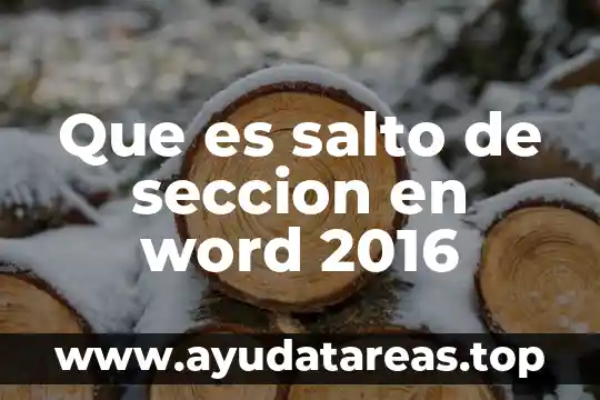 Que es salto de seccion en word 3 Que es salto de seccion en word 2016