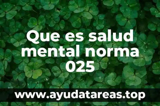 Que es salud mental norma 025