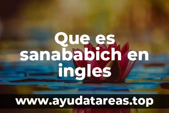 Que es significa la v en ingles 6 Que es sanababich en ingles