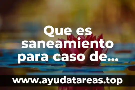 Que es el saneamiento de agua 5 Que es saneamiento para caso de eviccion
