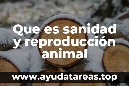 Que es reproduccion electronica 7 Que es sanidad y reproducción animal