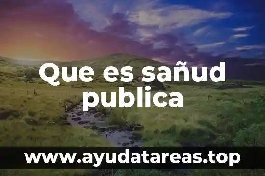 Que es sañud publica