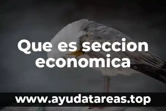 Que es representación economica 4 Que es seccion economica