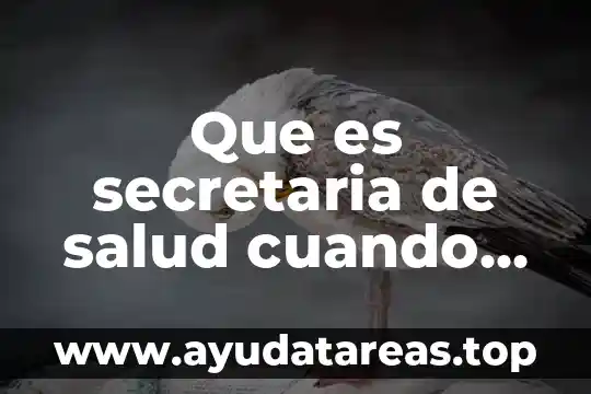 Qué es salud y movimiento definición 8 Que es secretaria de salud cuando se fundo