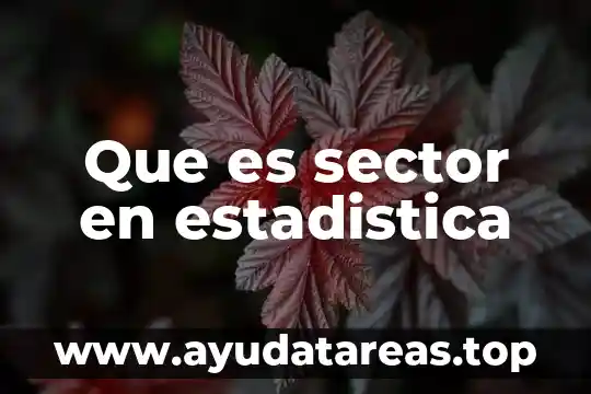 Qué es el término factorial número en estadística 4 Que es sector en estadistica