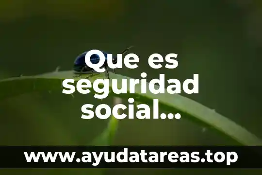 Que es seguridad social concepto