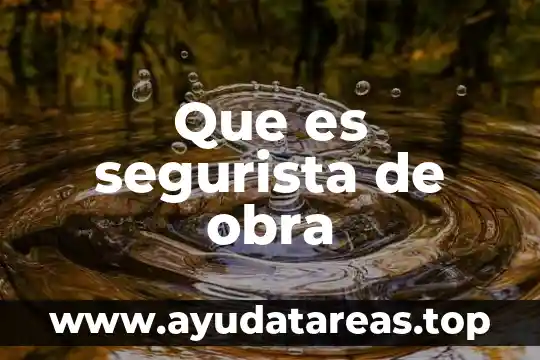 Que es segurista de obra