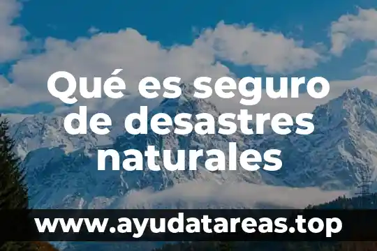 Qué es seguro de desastres naturales