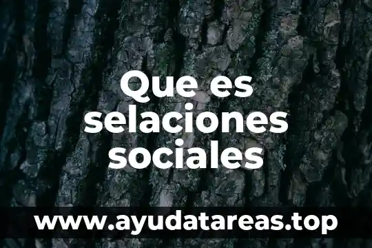 Ambiguedad fonética que es 8 Que es selaciones sociales