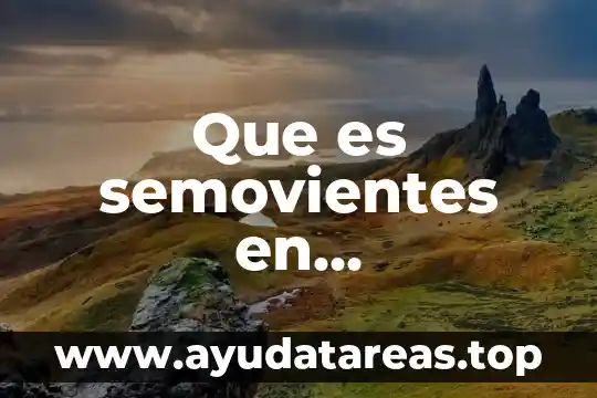 Que es semovientes en contabilidad