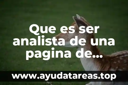 Que es ser analista de una pagina de facebook 2019