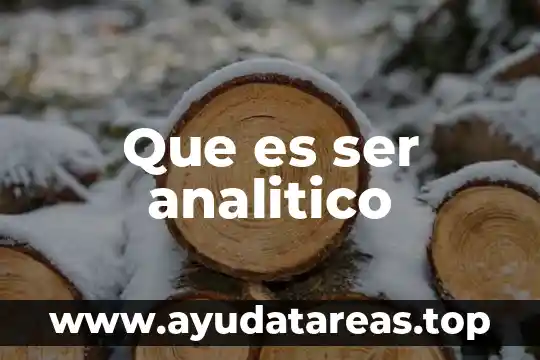 Qué es ser un embajador 4 Que es ser analitico