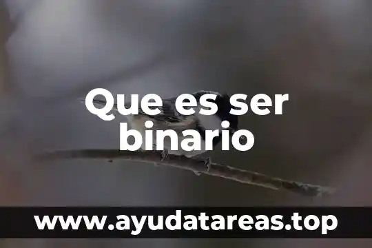 Que es ser una mata hari 8 Que es ser binario