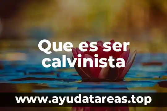 Que es ser calvinista