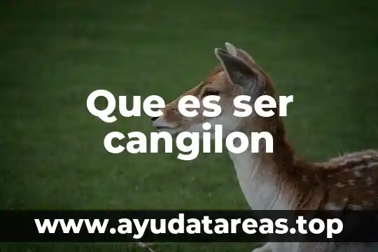 Que es ser cangilon