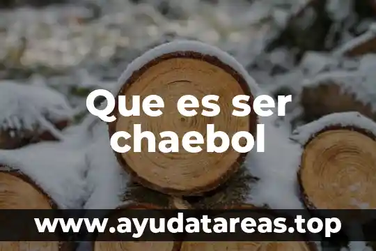 Que es ser chaebol