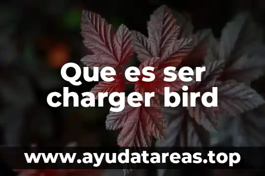Que es ser charger bird