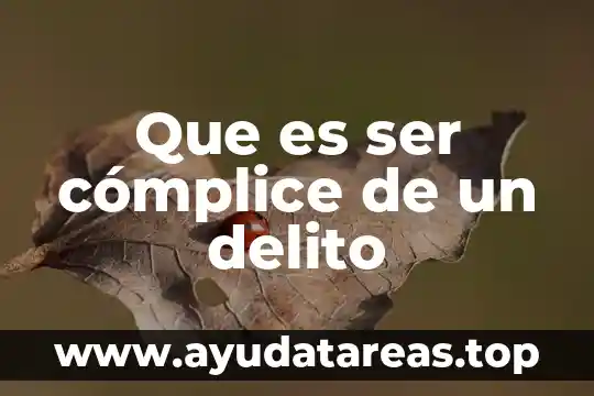 Que es ser cómplice de un delito