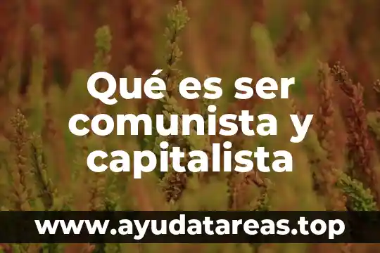 Que es el sistema comunista 8 Qué es ser comunista y capitalista