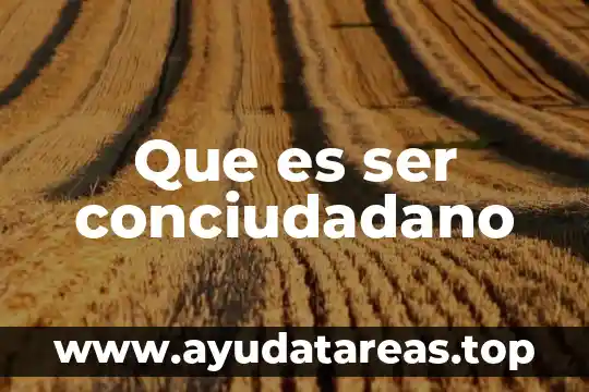 Que es ser una mata hari 5 Que es ser conciudadano