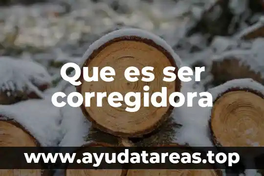 Que es ser corregidora