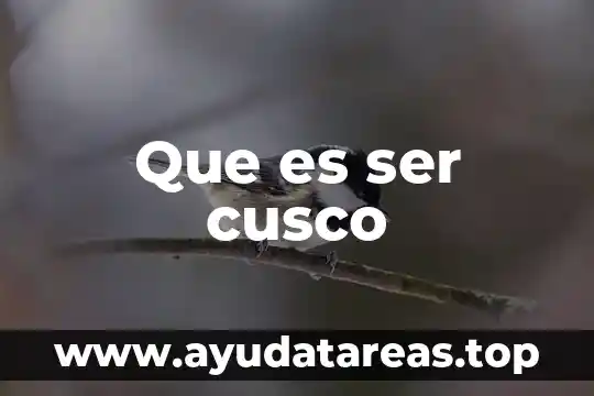 Que es significa ser hijo de dios 8 Que es ser cusco