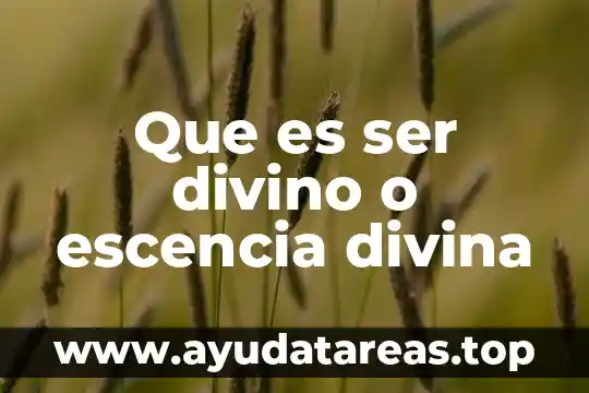 Que es ser chamoyenta 3 Que es ser divino o escencia divina