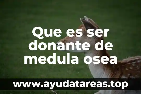 Que es ser donante de medula osea