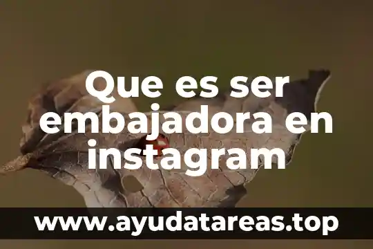 Que es interes en el ser humano 6 Que es ser embajadora en instagram