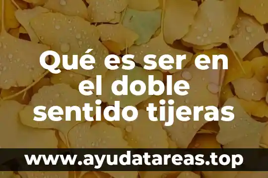 Qué es ser en el doble sentido tijeras