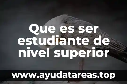 Que es ser estudiante de nivel superior