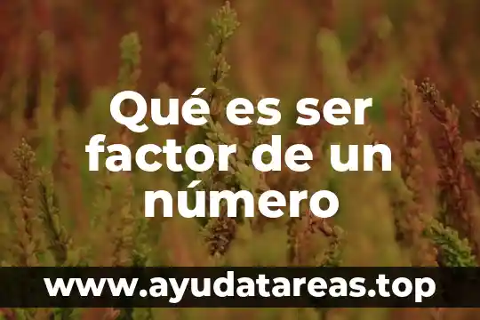 Que es significa ser hijo de dios 3 Qué es ser factor de un número