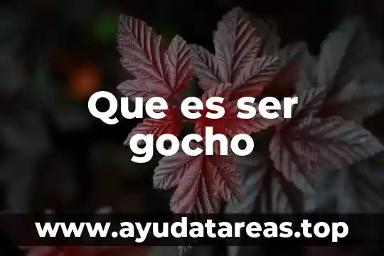 Que es ser gocho