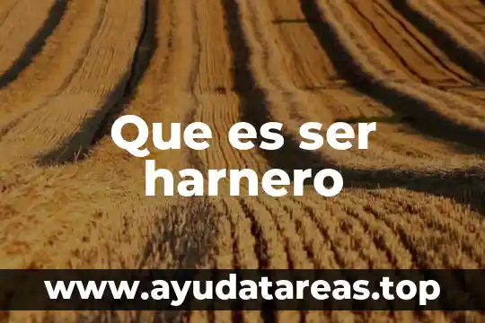Que es ser competitivo y competente 6 Que es ser harnero