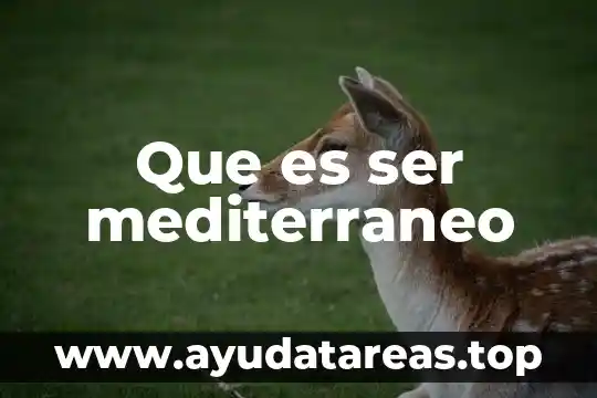 Qué es ser un embajador 7 Que es ser mediterraneo