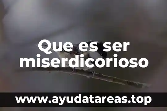 Que es ser competitivo y competente 4 Que es ser miserdicorioso