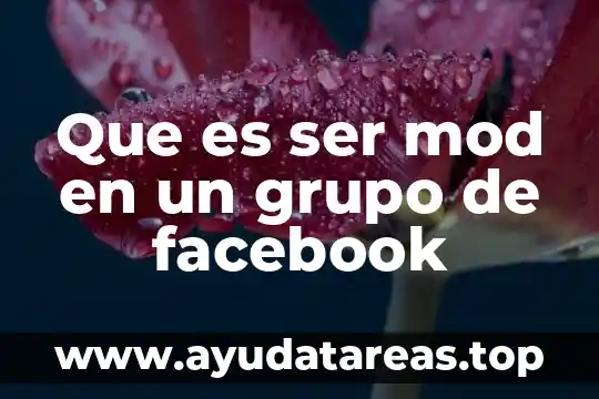 Que es un derecho de un ser humano 8 Que es ser mod en un grupo de facebook