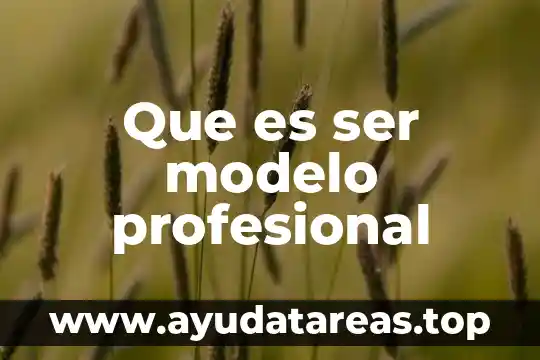 Que es ser respetable 3 Que es ser modelo profesional