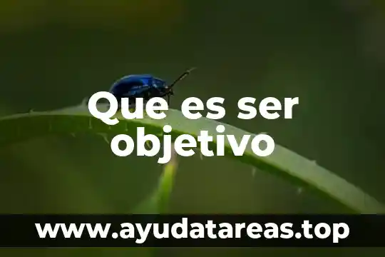 Que es ser objetivo