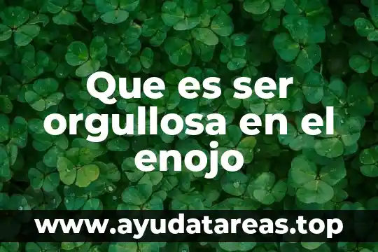 Que es ser orgullosa en el enojo