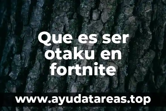 Que es ser otaku en fortnite