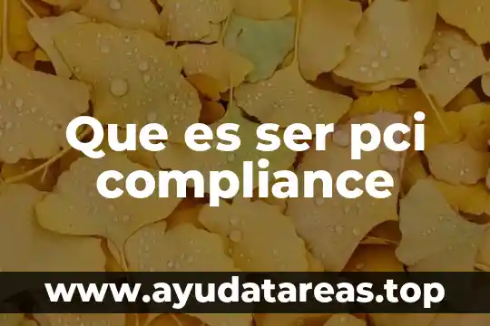 Que es ser pci compliance