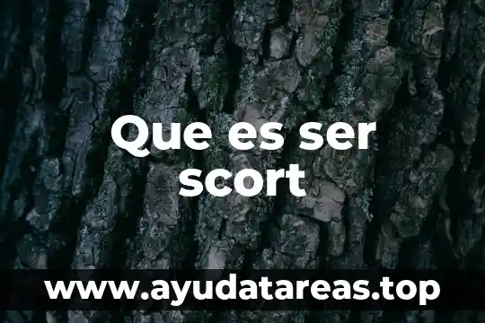 Que es ser un northern lass 7 Que es ser scort
